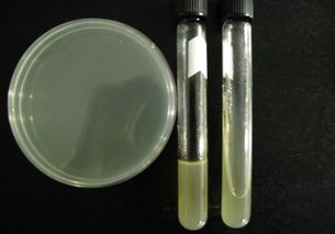 上海 乙醇產品 乙醇價格第107頁